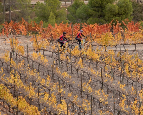 Cicla Priorat BTT