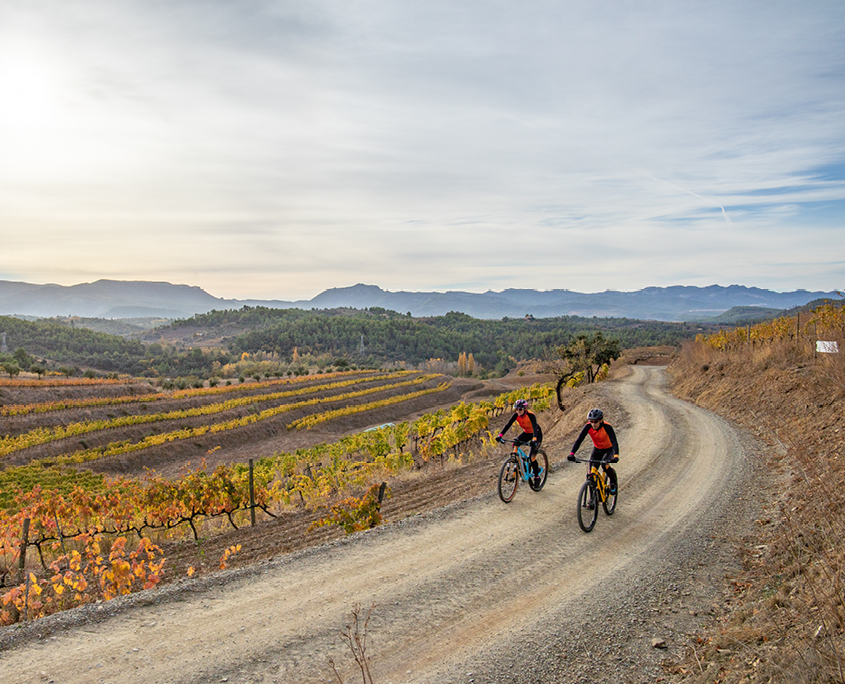 Cicla Priorat BTT