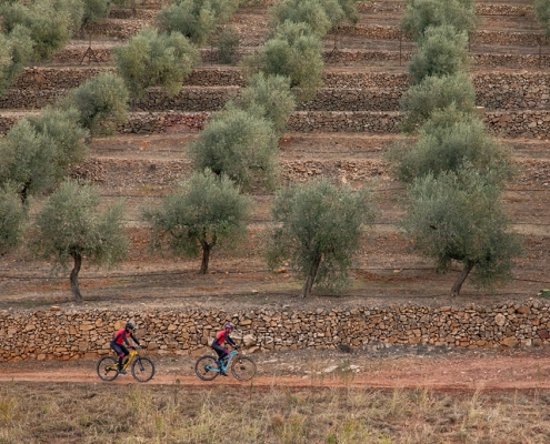 Cicla Priorat BTT